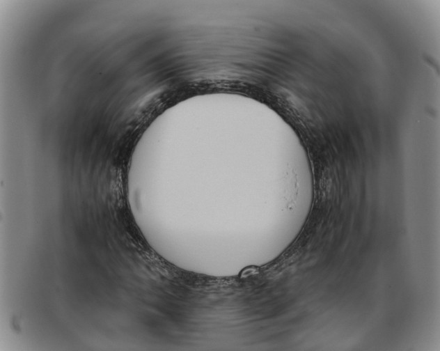 X0000097461062200803141846