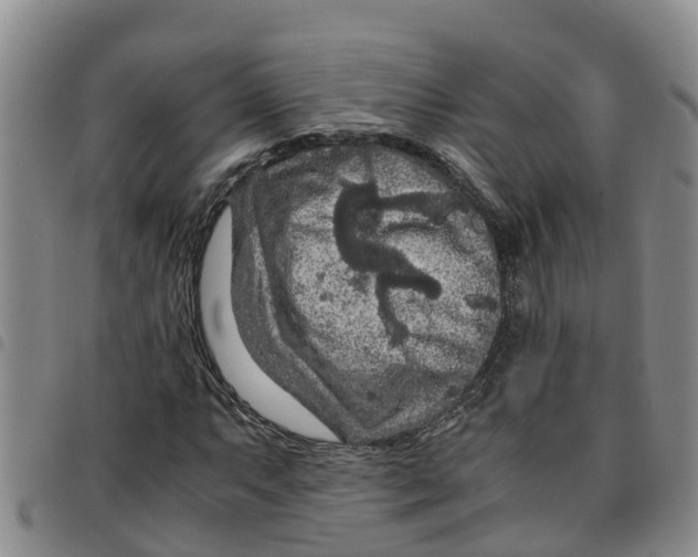 X0000097461063200803141846