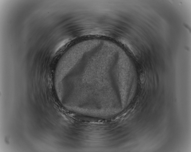 X0000097461064200803141846