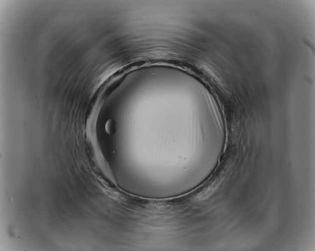 X0000097461065200803141846