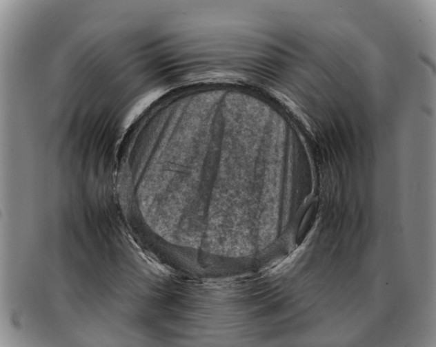 X0000097461066200803141846