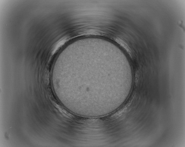 X0000097461067200803141846