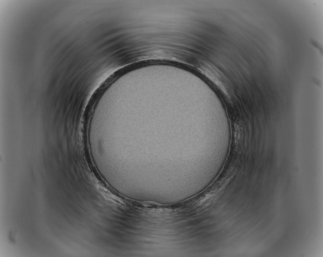 X0000097461068200803141846