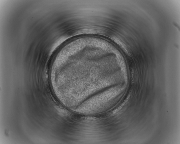 X0000097461070200803141846