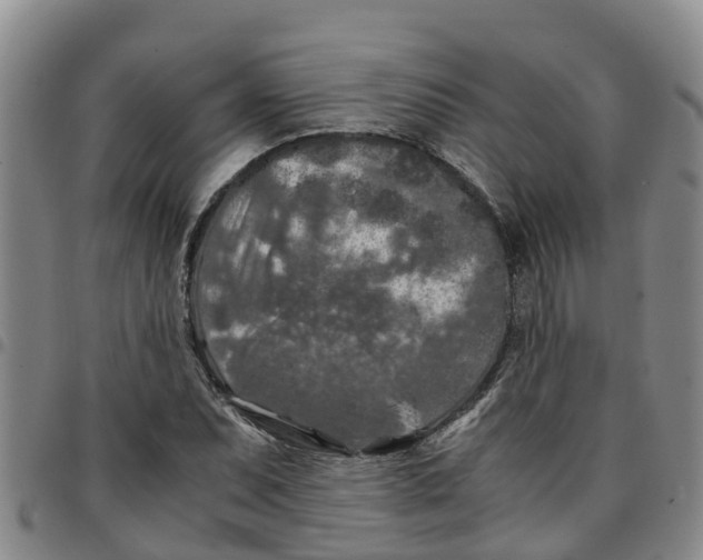 X0000097461071200803141846