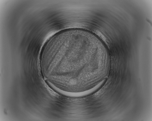 X0000097461072200803141846