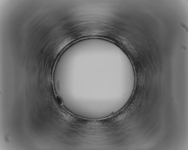 X0000097461073200803141846