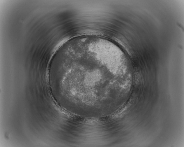 X0000097461074200803141846