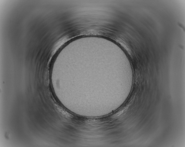 X0000097461075200803141846