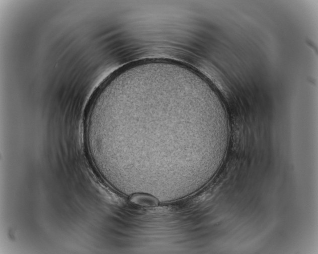 X0000097461076200803141846