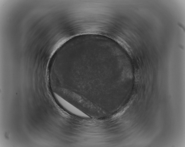 X0000097461077200803141846