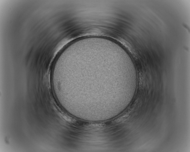 X0000097461078200803141846