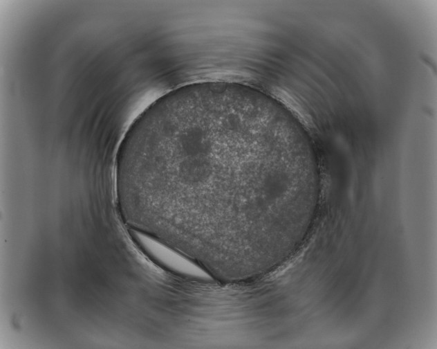 X0000097461079200803141846