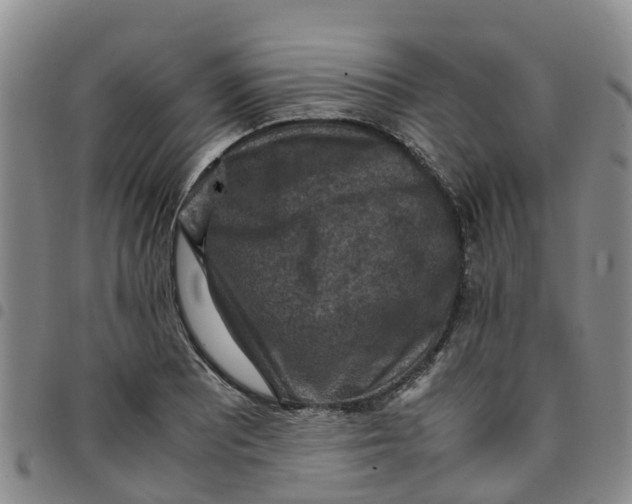 X0000097461081200803141846