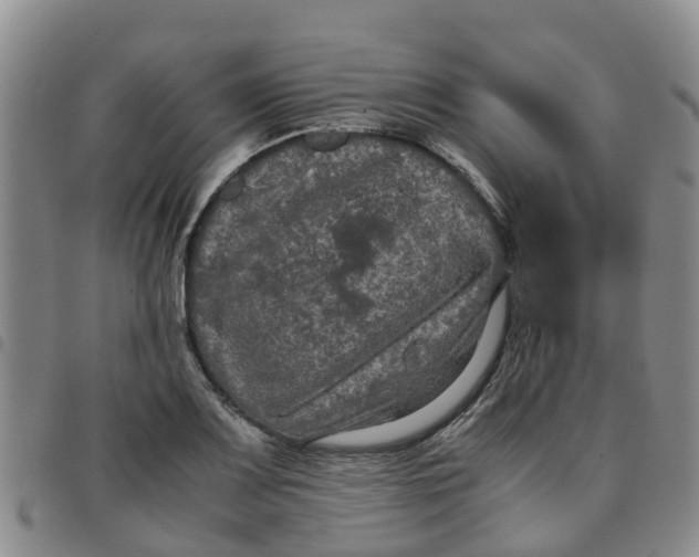 X0000097461083200803141846