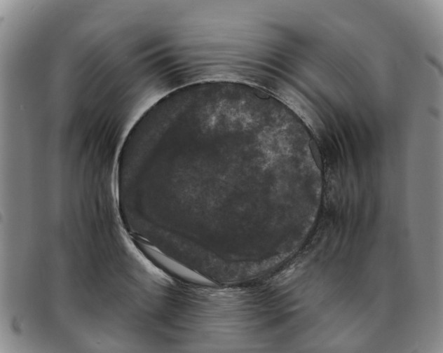 X0000097461084200803141846