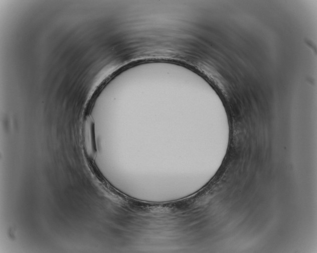 X0000097461085200803141846