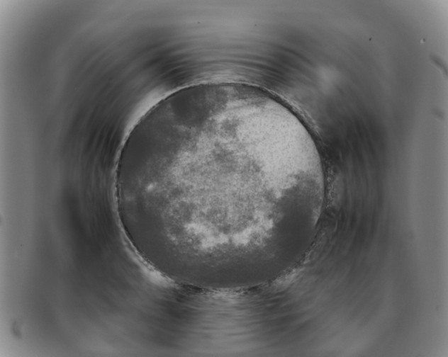 X0000097461086200803141846