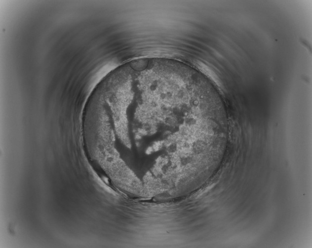 X0000097461087200803141846