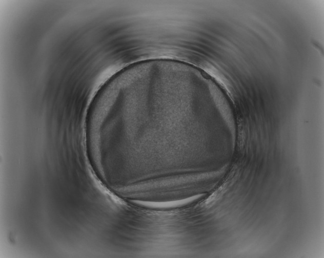 X0000097461088200803141846