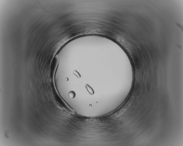 X0000097461089200803141846