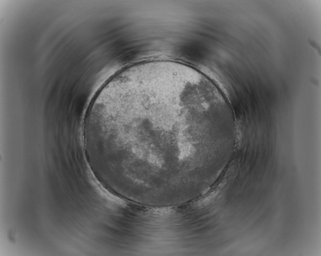 X0000097461090200803141846