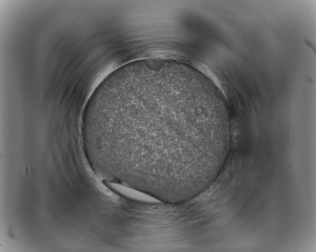 X0000097461091200803141846