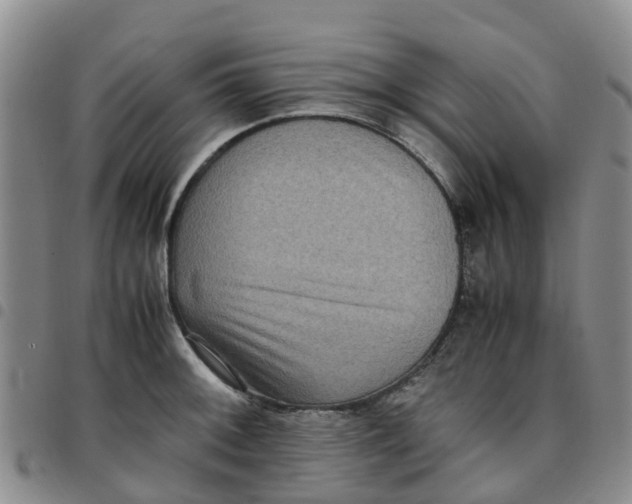 X0000097461092200803141846