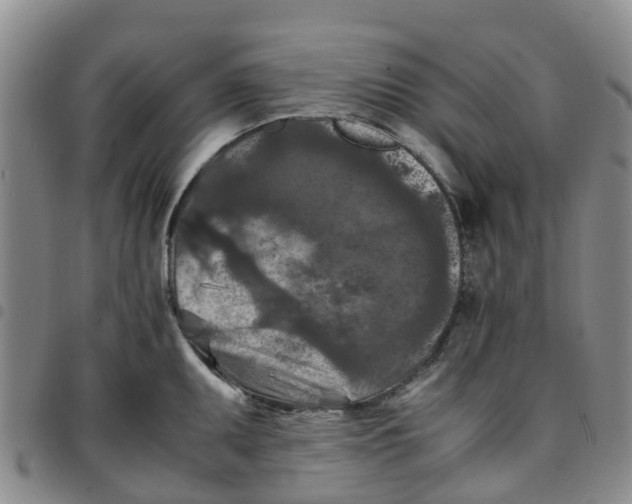 X0000097461095200803141846