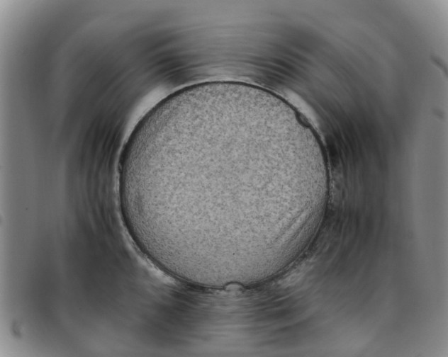 X0000097461096200803141846