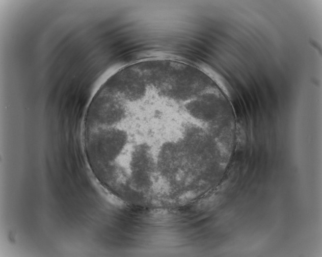 X0000097461098200803141846