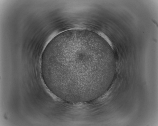 X0000097461099200803141846