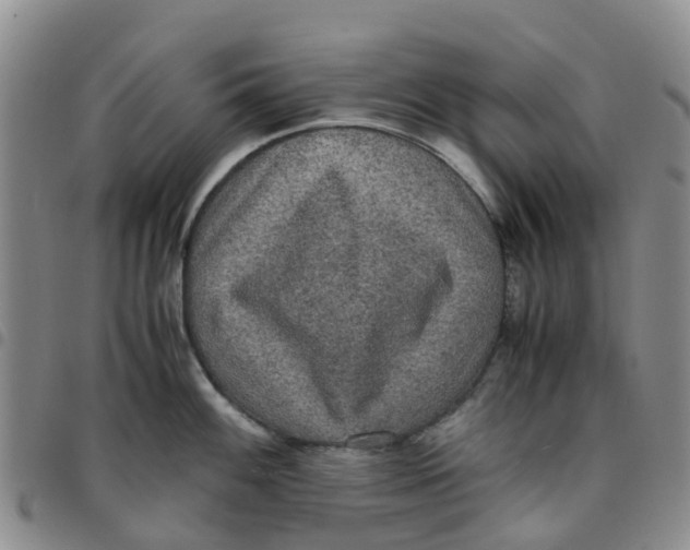 X0000097461100200803141846