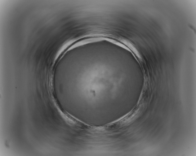 X0000097461101200803141846