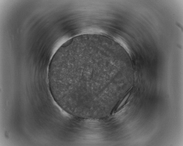 X0000097461103200803141846