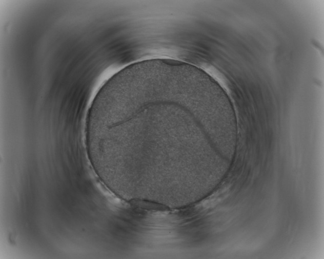 X0000097461104200803141846