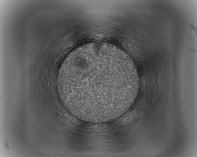 X0000097461105200803141845