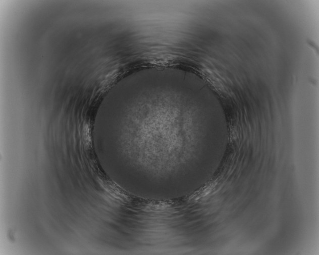 X0000097461106200803141845