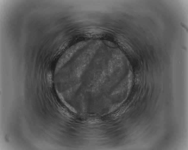 X0000097461108200803141845