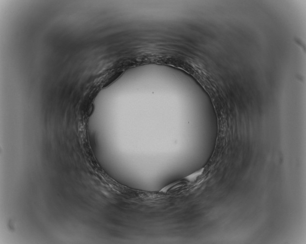 X0000097461109200803141845