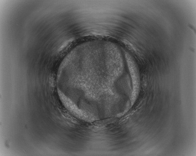 X0000097461110200803141845