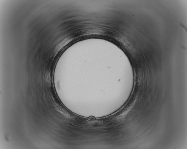 X0000097461113200803141845