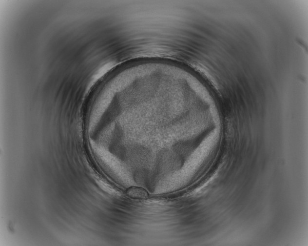 X0000097461114200803141845