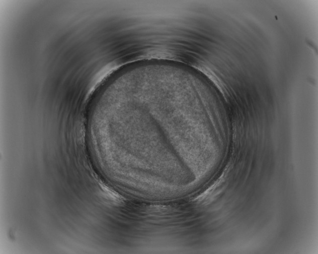 X0000097461115200803141845