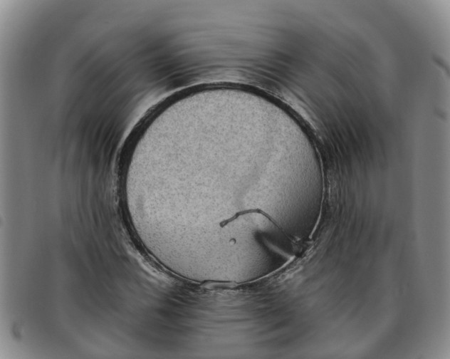 X0000097461116200803141845