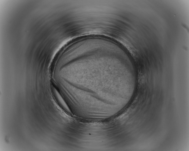 X0000097461118200803141845