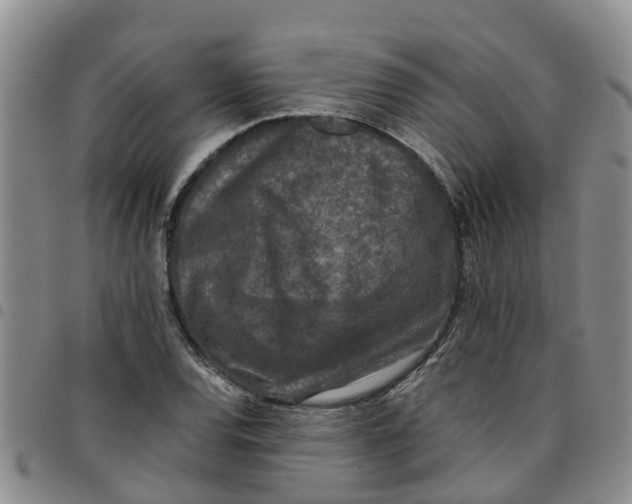 X0000097461120200803141845