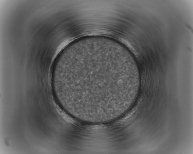 X0000097461122200803141845