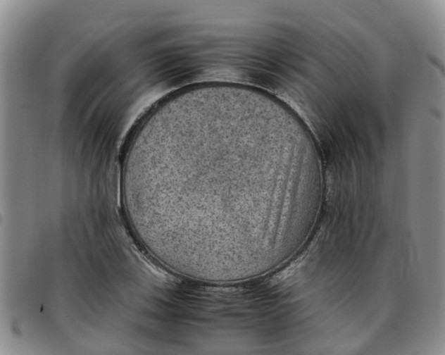 X0000097461123200803141845