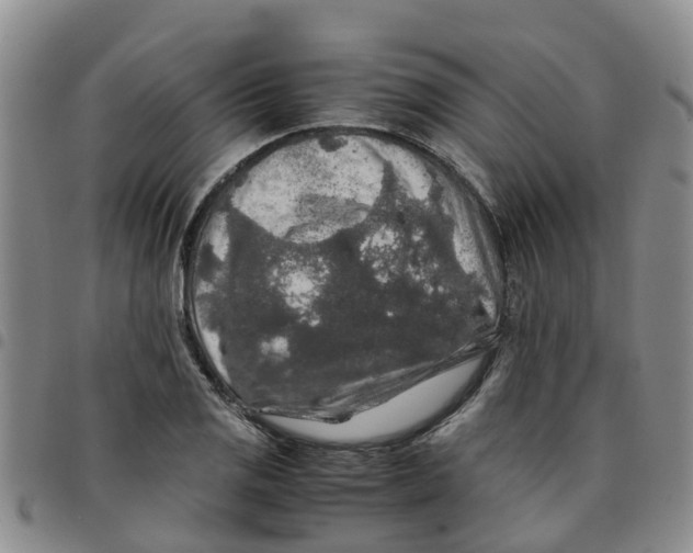 X0000097461125200803141845